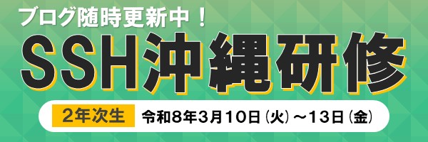 沖縄研修ブログ更新